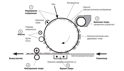 Электрофотография